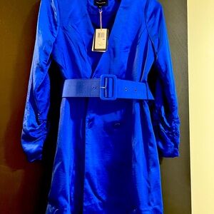 NWT, never worn.  Skies Are Blue satin double breasted dress.  XS